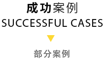 成功案例